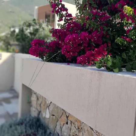 Σπίτι διακοπών 3e_apartment_palase / 149/2 Παλάσα